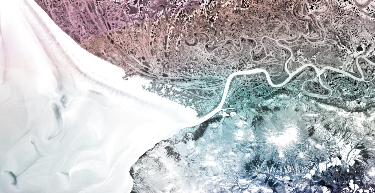 The Great Animal Orchestra