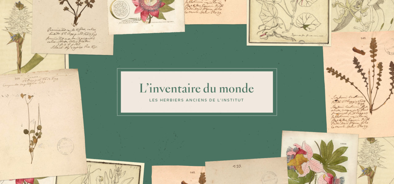 L’inventaire du monde